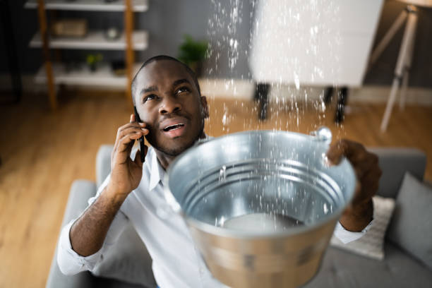 Best 24-hour water damage restoration  in Diamond Springs, CA