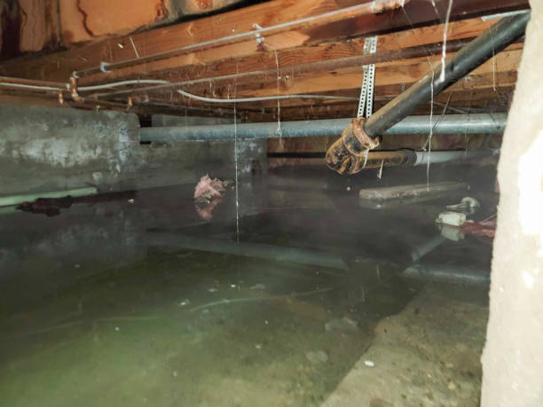 Best Basement water damage restoration  in Diamond Springs, CA