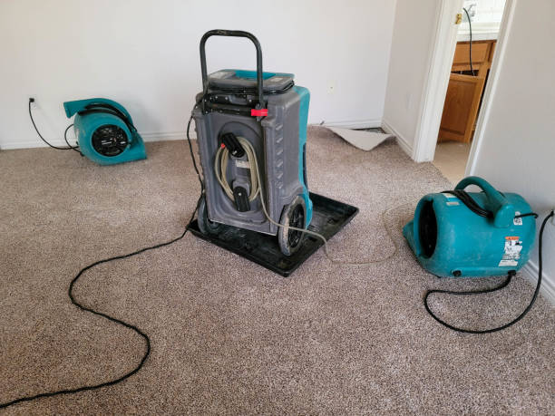 Best Sewage cleanup and water damage restoration  in Diamond Springs, CA