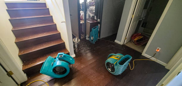 Best Professional water damage repair  in Diamond Springs, CA