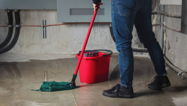 Best Carpet water damage restoration  in Diamond Springs, CA