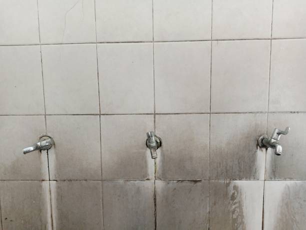 Best Flooded house restoration  in Diamond Springs, CA