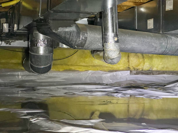 Best Water damage contractors near me  in Diamond Springs, CA